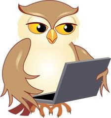 WiseGov